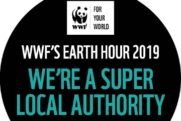 Switch off to take action against climate change join in Earth Hour 2019 Icon
