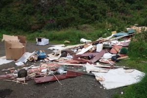 Appeal for witnesses to illegal fly-tipping at Bathgate landmark Icon