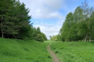 Active travel refresh A picturesque woodland path in West Lothian