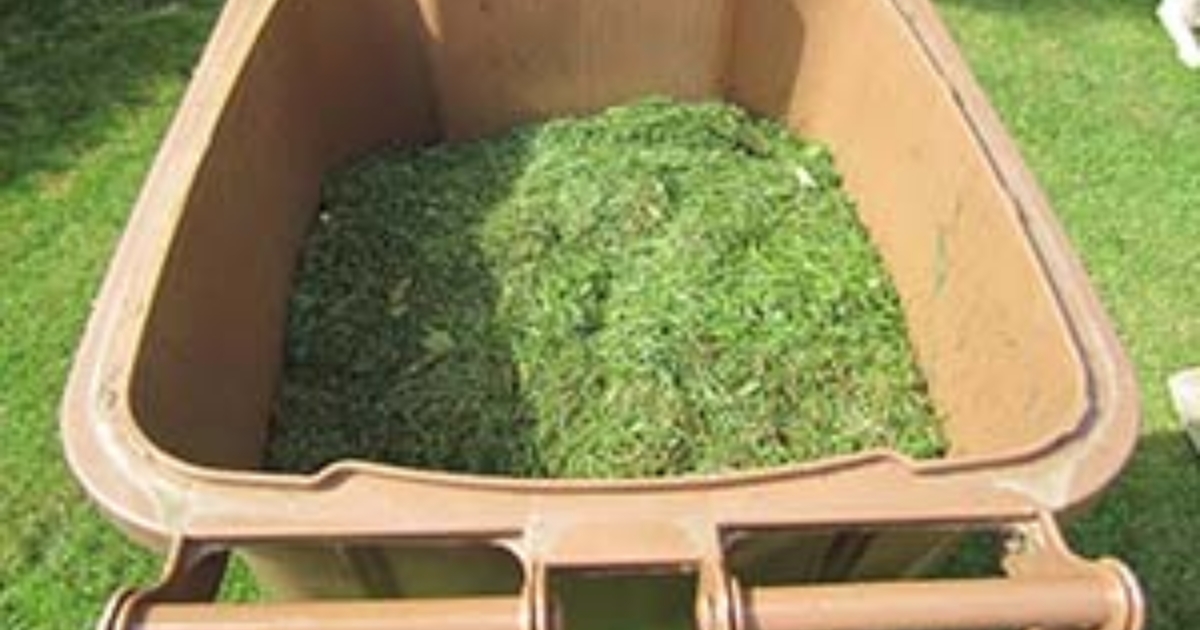 Garden Waste bin charges proposed West Lothian News