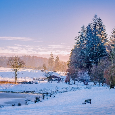 Beecraigs in winter