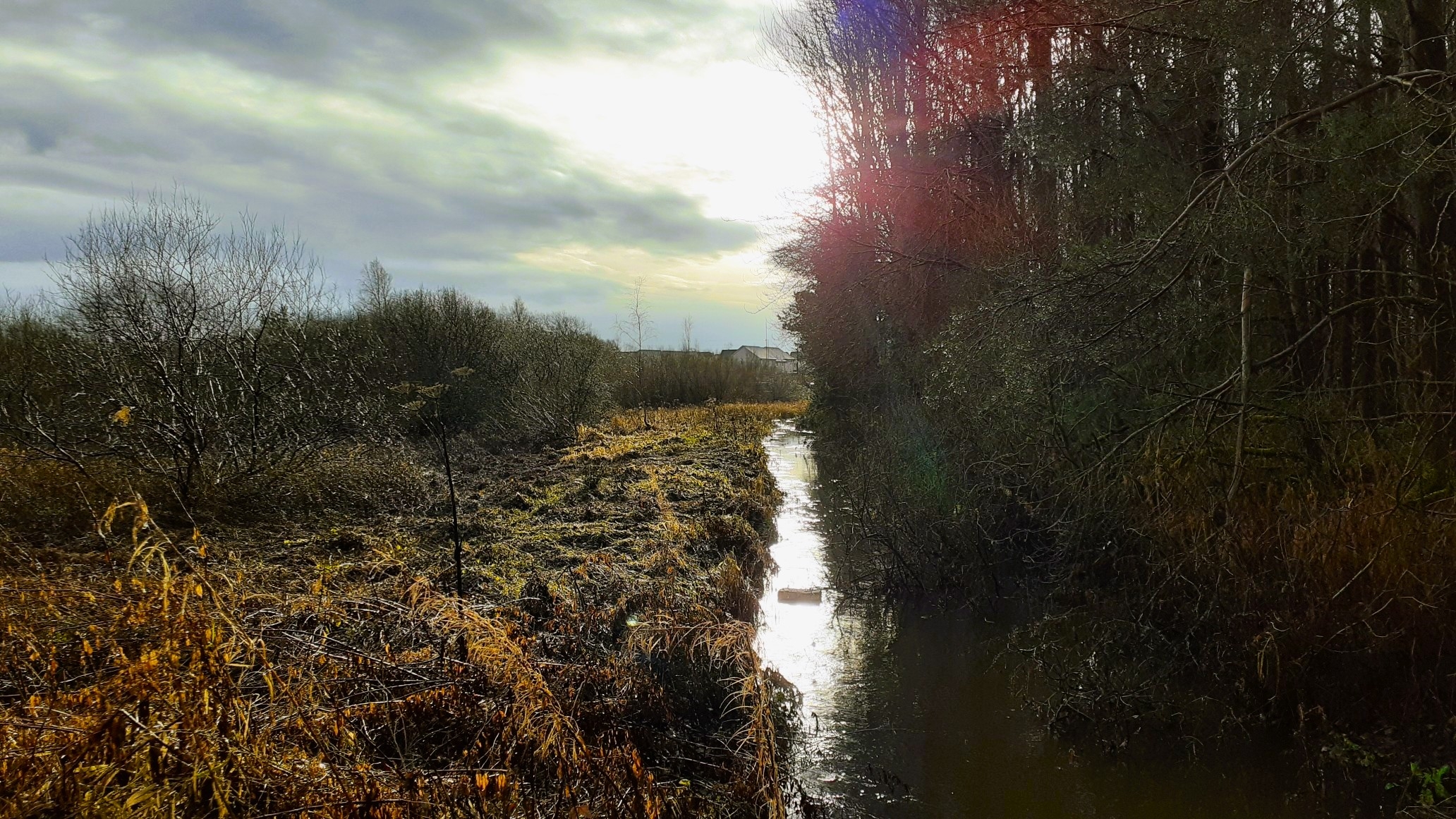 Project to breathe new life into Bathgate Water Icon