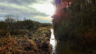 Project to breathe new life into Bathgate Water