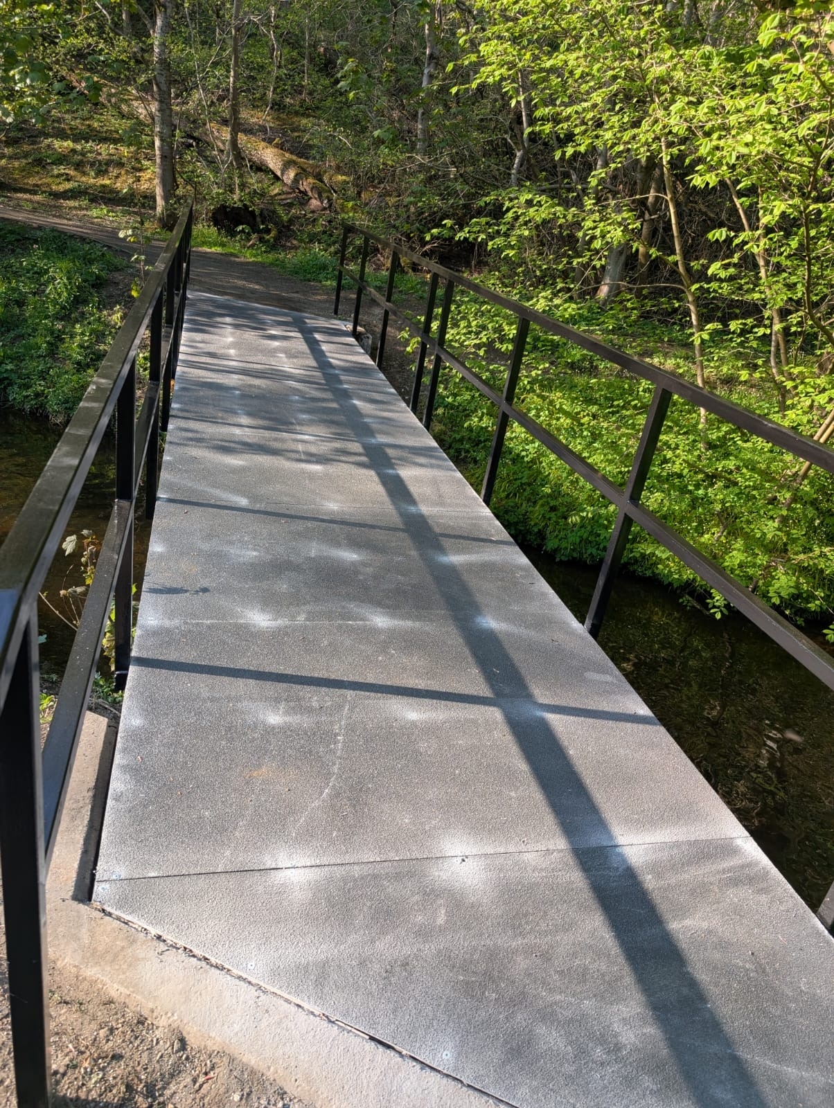Almondell Footbridge Icon